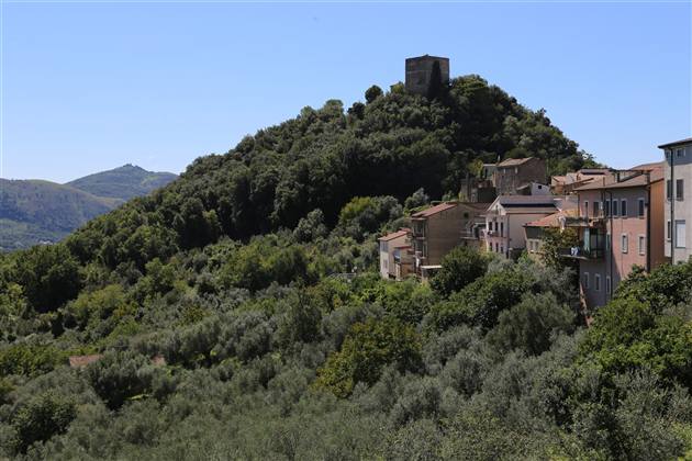 Torre medievale tra i boschi